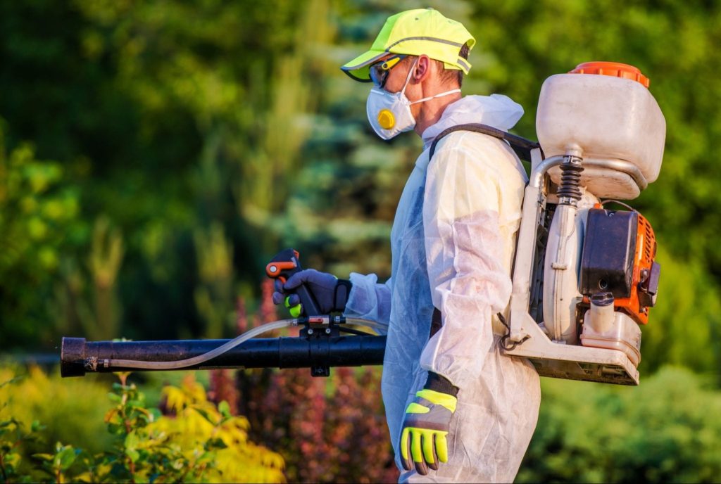 Protect Your Property from Wood Destroying Pests eco friendly pest control